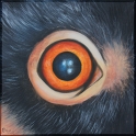 Augenblick eines Halsbandmakis; Acryl auf Leinwand;
30 x 30 cm